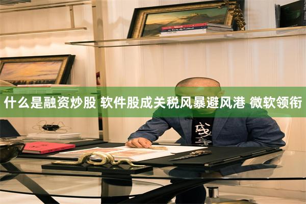 什么是融资炒股 软件股成关税风暴避风港 微软领衔