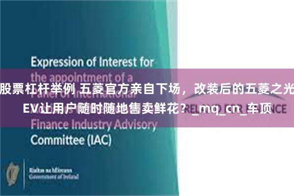 股票杠杆举例 五菱官方亲自下场，改装后的五菱之光EV让用户随时随地售卖鲜花？_mq_cn_车顶