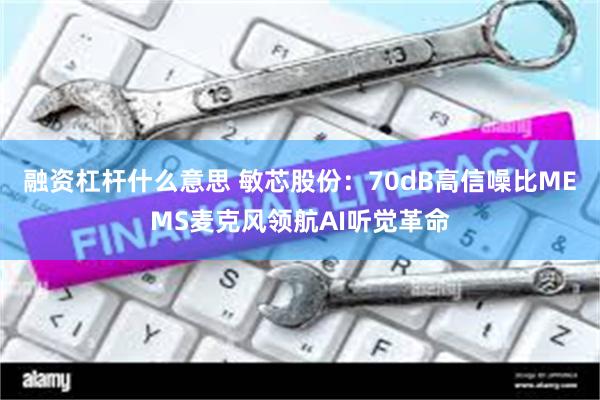 融资杠杆什么意思 敏芯股份：70dB高信噪比MEMS麦克风领航AI听觉革命