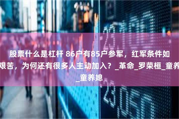 股票什么是杠杆 86户有85户参军，红军条件如此艰苦，为何还有很多人主动加入？_革命_罗荣桓_童养媳