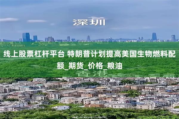 线上股票杠杆平台 特朗普计划提高美国生物燃料配额_期货_价格_粮油