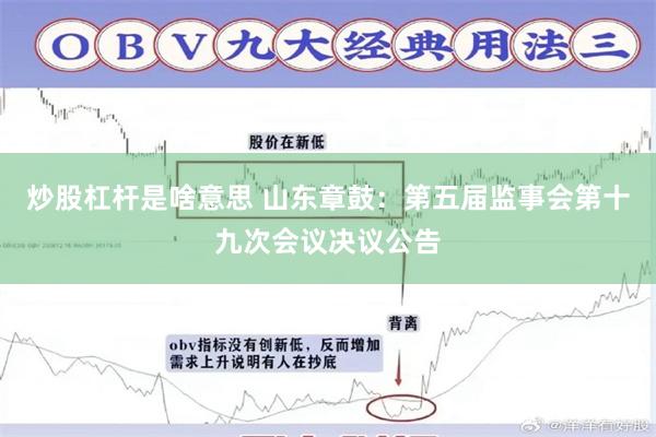 炒股杠杆是啥意思 山东章鼓：第五届监事会第十九次会议决议公告