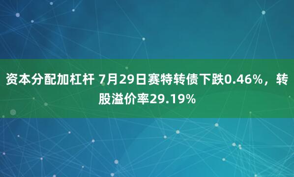 资本分配加杠杆 7月29日赛特转债下跌0.46%，转股溢价率29.19%