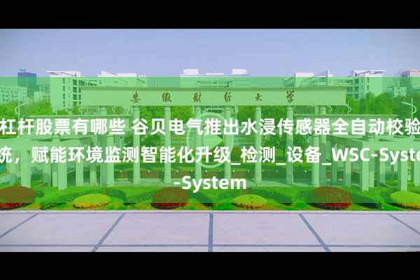 杠杆股票有哪些 谷贝电气推出水浸传感器全自动校验系统，赋能环境监测智能化升级_检测_设备_WSC-System