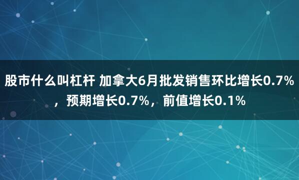 股市什么叫杠杆 加拿大6月批发销售环比增长0.7%，预期增长0.7%，前值增长0.1%