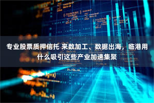 专业股票质押信托 来数加工、数据出海，临港用什么吸引这些产业加速集聚
