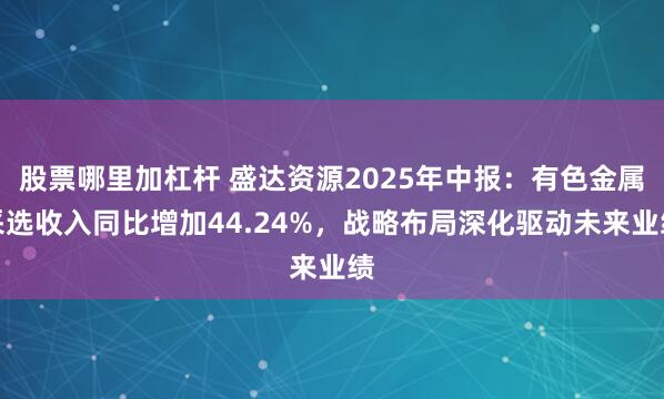 股票哪里加杠杆 盛达资源2025年中报：有色金属采选收入同比增加44.24%，战略布局深化驱动未来业绩