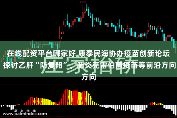 在线配资平台哪家好 康泰民海协办疫苗创新论坛 探讨乙肝“防复阳”、肺炎克雷伯菌疫苗等前沿方向