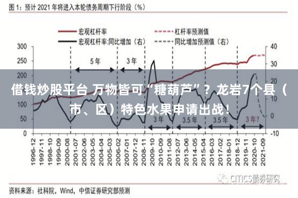 借钱炒股平台 万物皆可“糖葫芦”?龙岩7个县(市、区)特色水果申请出战!