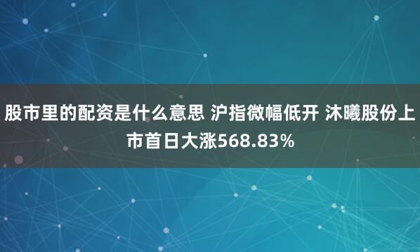 股市里的配资是什么意思 沪指微幅低开 沐曦股份上市首日大涨568.83%